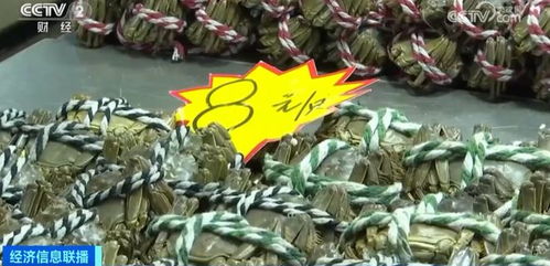 金華正大量上市，價格大跳水！水產品批發需注意這些問題