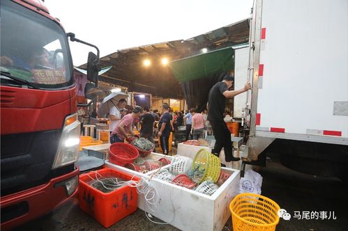 普惠金融推進月 活水涌向水產與百貨，農批貸精準紓困解難題